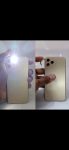 APPLE_1024x.jpg